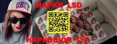 гидропоника Пугачёв