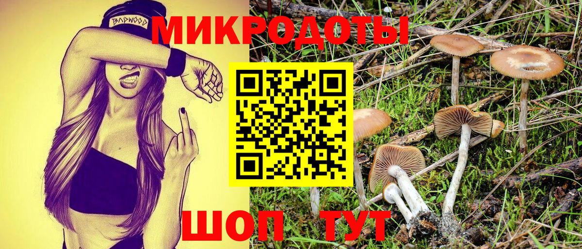 Галлюциногенные грибы Magic Shrooms Сегежа