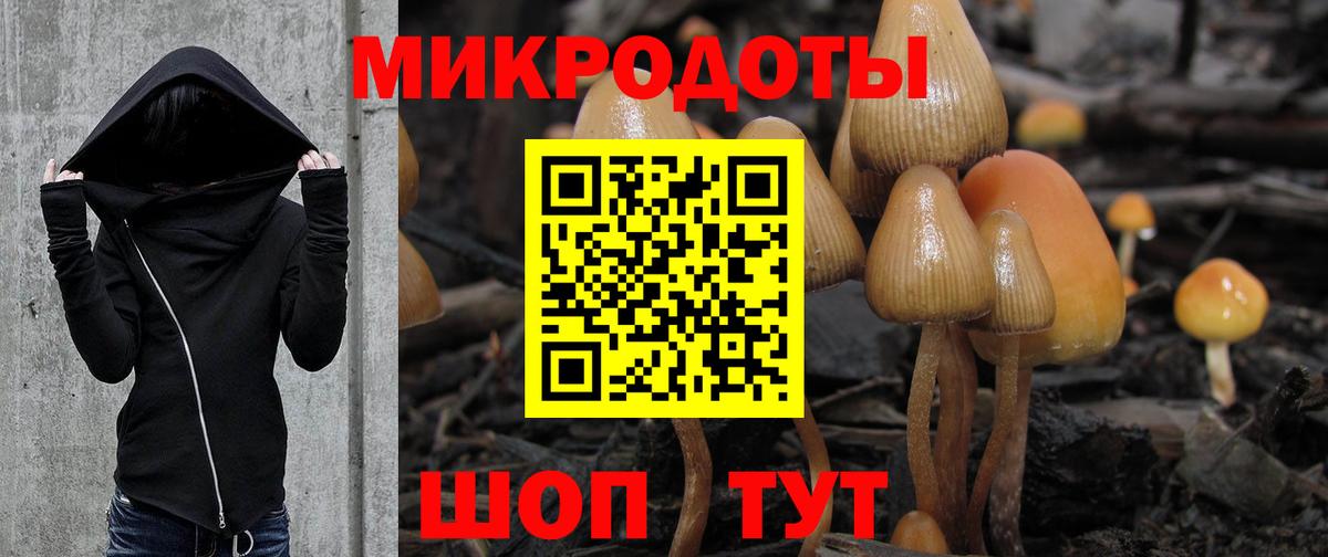 Сегежа  Галлюциногенные грибы ЛСД  где купить наркотик  Вход с VPN 